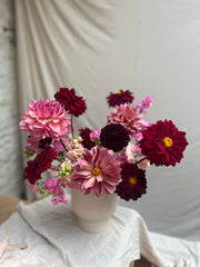 Studio-Grown Dahlia Starts: Limited Release