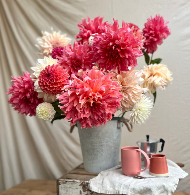 Dahlia Days: Growing for Cut Flowers & Design; Saturday, June 21st, 2-5pm