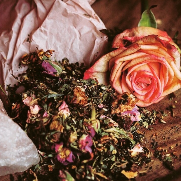 Organic Loose Leaf Tea by Hayley Power
