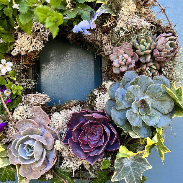 Living Wreath Workshop: Thursday, March 13th, 10-12pm