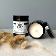 CROP Irish Candles no