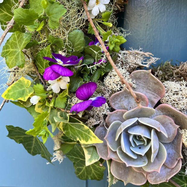 Living Wreath Workshop: Thursday, March 13th, 10-12pm